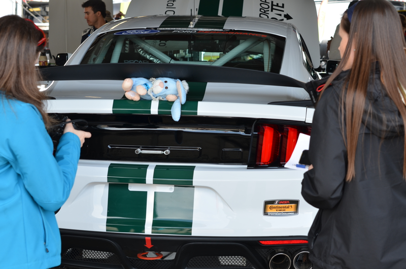 Illustration for article titled Shiny New Shelby GT350R-C Has GT40-Inspired Stripes, Pole Position